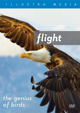 Flight: The Genius of Birds DVD