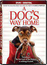 A Dog's Way Home DVD + Digital