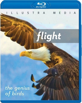Flight: The Genius of Birds Blu-ray
