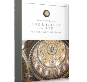 Mystery of God with Father Robert Barron picture of Catholic DVD cover