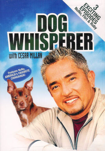 Dog Whisperer with Cesar Millan  - DVD